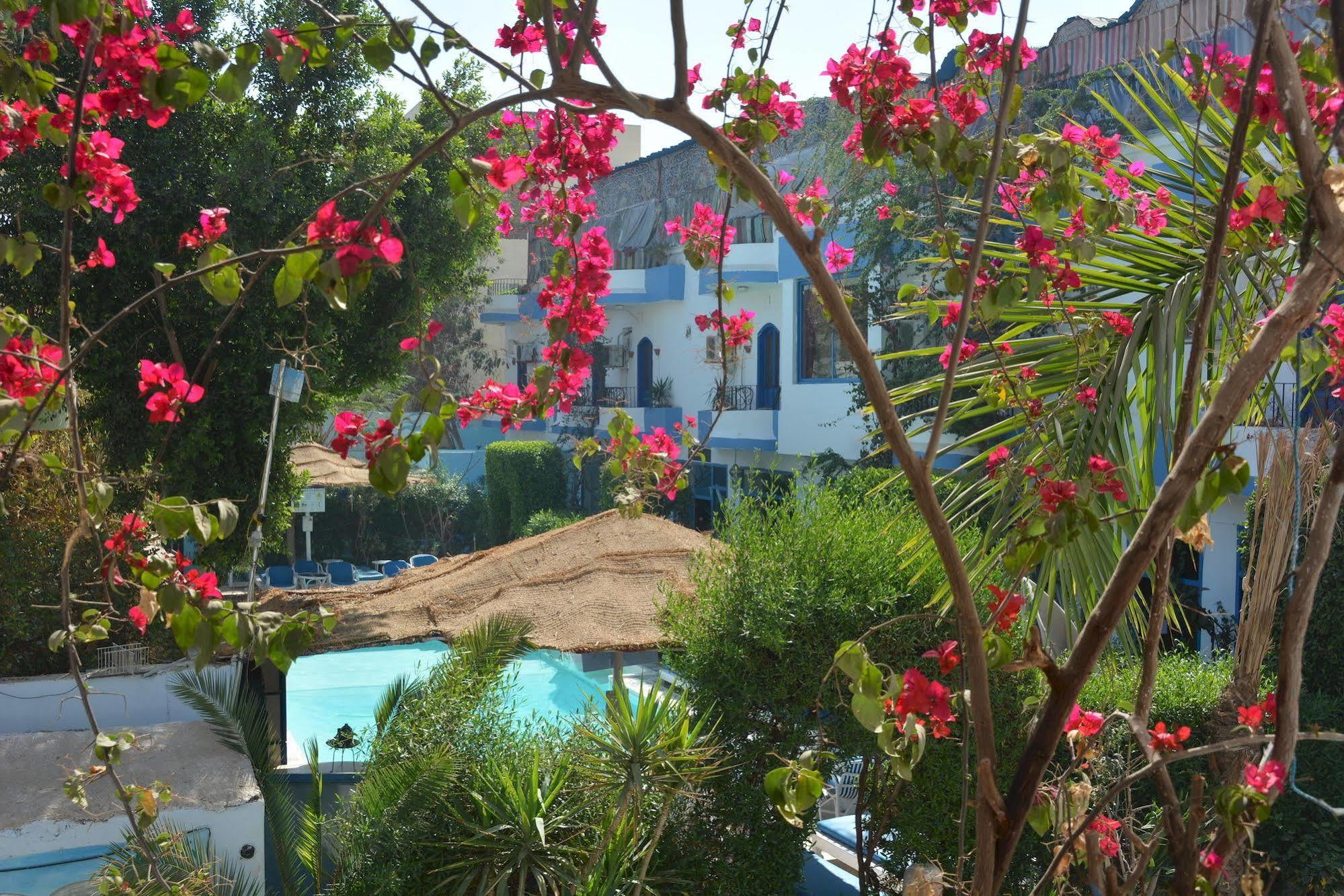 El Gezira Hotel 룩소르 외부 사진